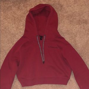 Alphalete crop hoodie